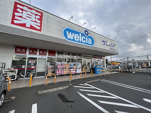 petit madoca by マツモトキヨシ志津店(約500m)