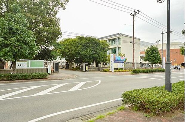 宇土市立鶴城中学校（約800m）