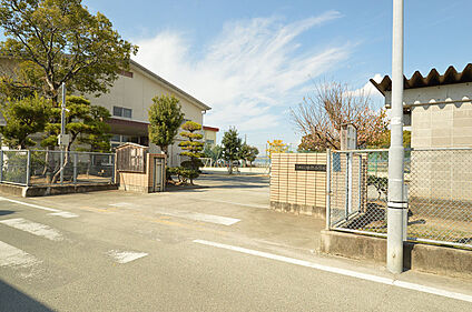 中島小学校 800ｍ(徒歩10分)
