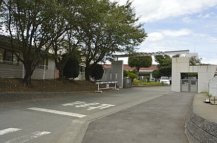 広安西小学校 1479ｍ(徒歩19分)