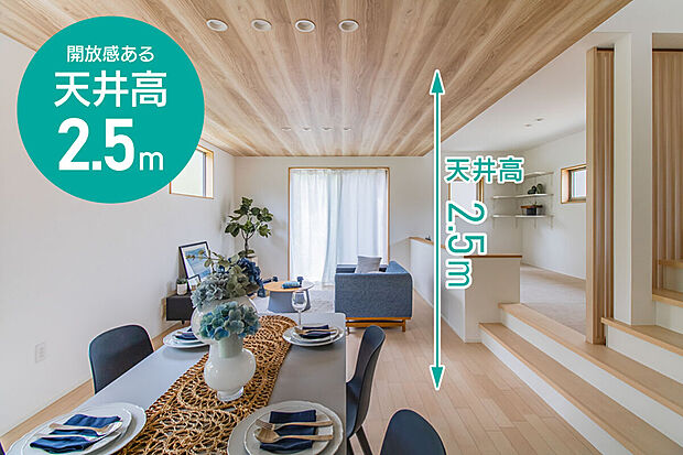 【天井高2.5m】一般的な居室の天井の高さが2.2から2.4mのところ、ワウハウスでは、リビング天井を2.5mに設定。
空間全体に広がりとゆとりが生まれ、心地よく過ごせる住まいを実現します。