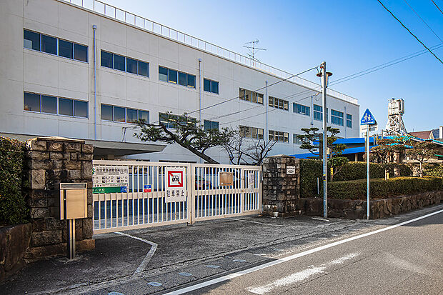 青崎小学校(約673m)