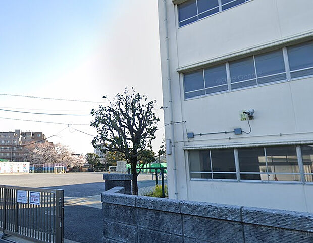 横浜市立旭小学校（約550m）