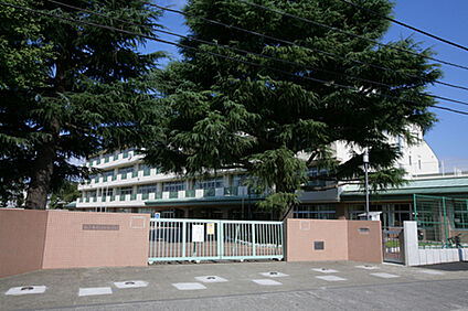中野区立緑野小学校 約720ｍ(徒歩約9分)