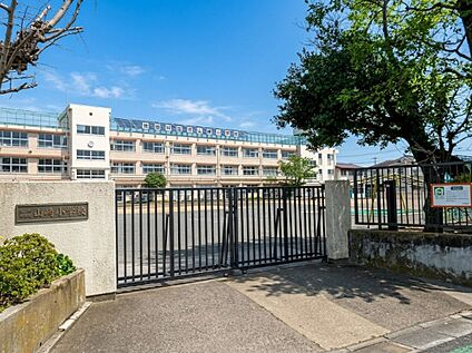 世田谷区立山崎小学校 約440ｍ(徒歩約6分)