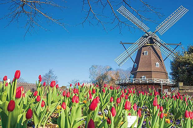 ふなばしアンデルセン公園(休日のお出かけ先として親しみやすいふなばしアンデルセン公園。9時30分開園で、季節により17時まで利用可能。ポニー乗馬やボートもあり、家族で過ごす時間をゆたかに彩ります。)
