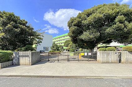 坪井小学校 310m