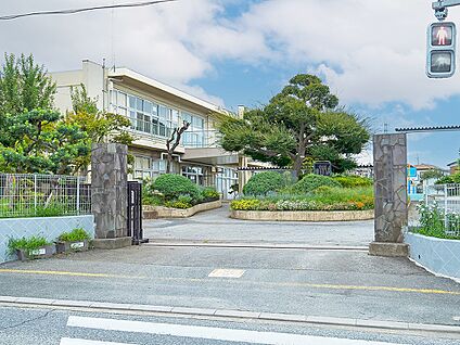 柏第二小学校 550m