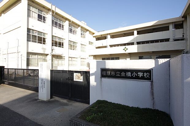 橿原市立 金橋小学校(約1,100m)