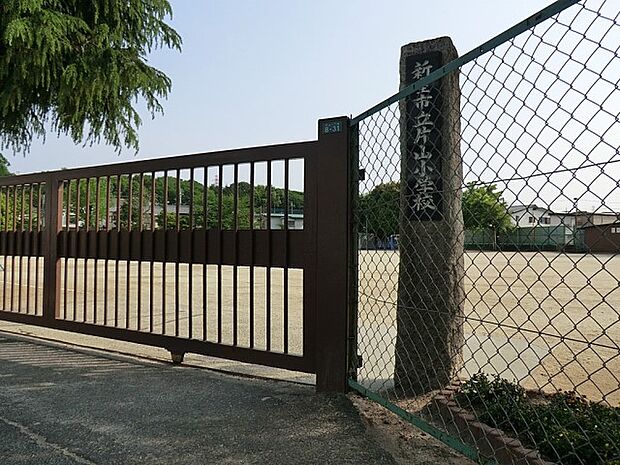 新座市立片山小学校(約600m)