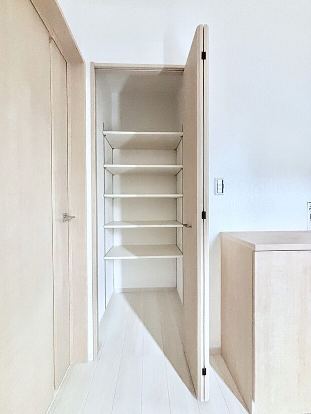 【その他設備(玄関ホール収納)】玄関ホール収納です。掃除道具やお出かけ用グッズの収納に便利です。