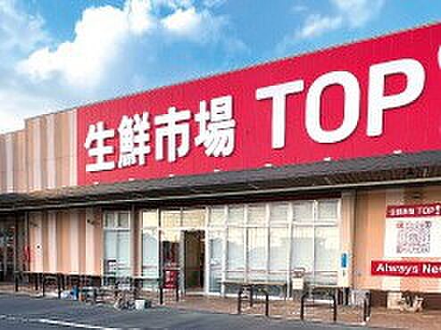 生鮮市場TOP 八潮伊草店（約3,100m）