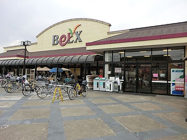 ベルクス 北松戸店(約500m・徒歩7分)