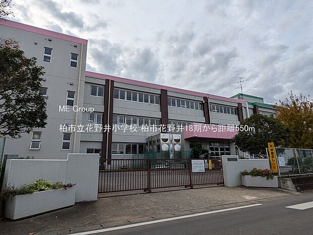 柏市立花野井小学校(約550m)