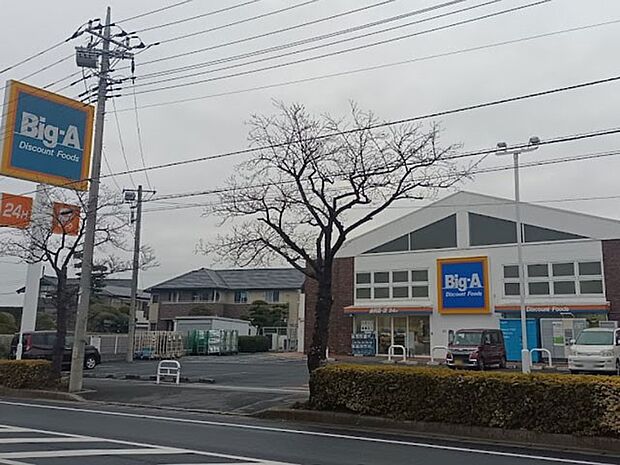 ビッグ・エー 流山鰭ヶ崎店(約1,300m・徒歩17分)