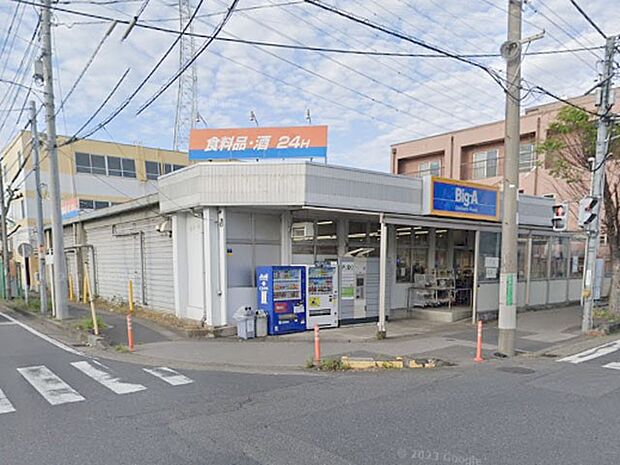 ビッグ・エー八潮中央店（約800m・徒歩10分）