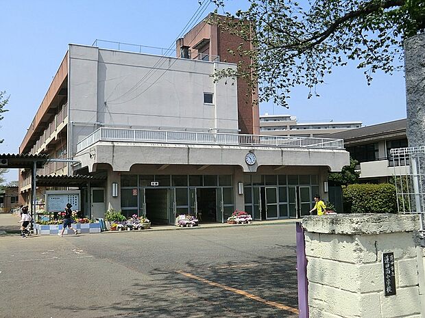 蓮田市立蓮田南小学校（約400m）