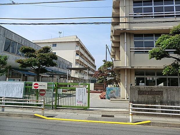 松戸市立矢切小学校（約1,032m・徒歩13分）