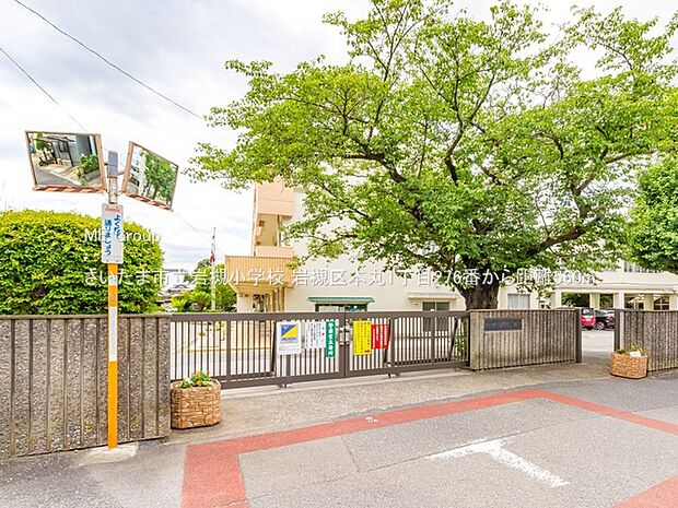 さいたま市立岩槻小学校（約560m）