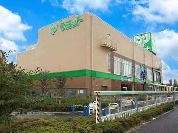 サミットストア環八南田中店(約800m)