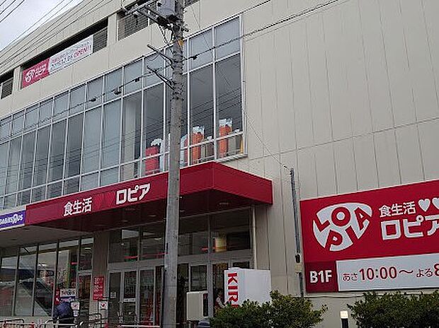 ロピア 草加セーモンプラザ店（約1,100m・徒歩14分）