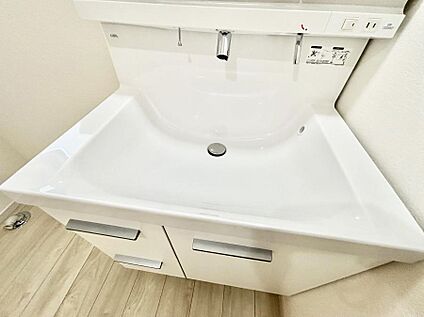 その他設備(ハンドシャワー水栓)