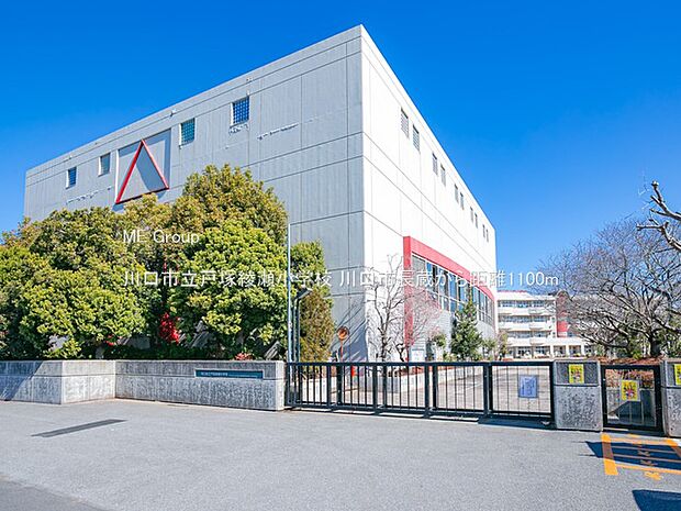 川口市立戸塚綾瀬小学校(約1,100m・徒歩14分)