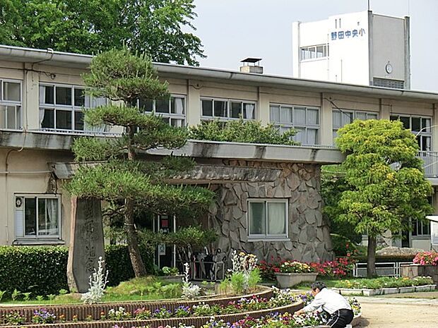 野田市立中央小学校(約250m・徒歩4分)