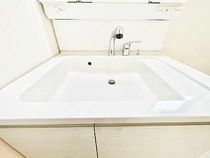 その他設備(ハンドシャワー水栓)