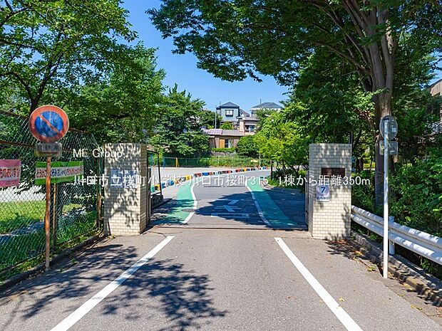 川口市立桜町小学校（約350m）
