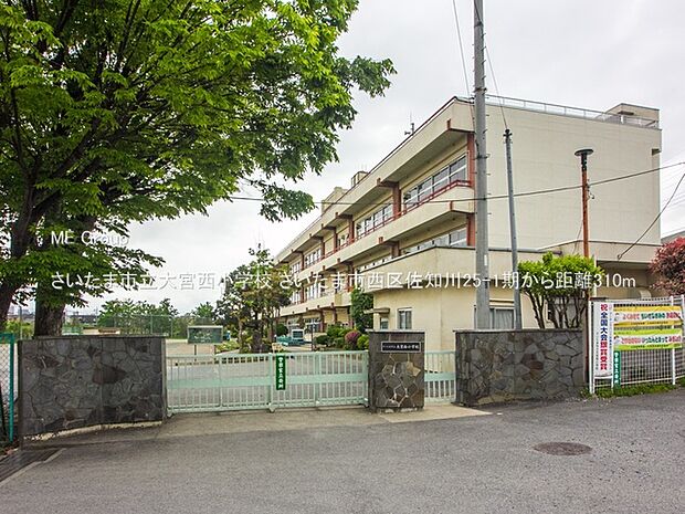 さいたま市立大宮西小学校(約310m・徒歩4分)