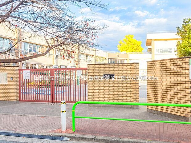 板橋区立下赤塚小学校(約800m)