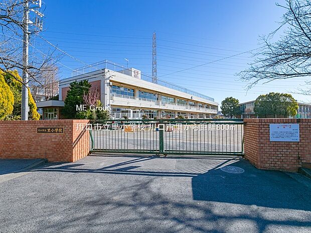 川口市立里小学校（約800m）