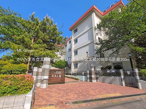 さいたま市立文蔵小学校（約300m・徒歩4分）