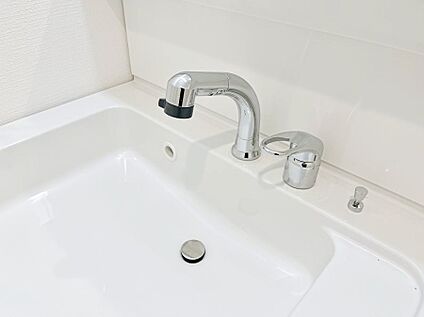 その他設備(ハンドシャワー水栓)