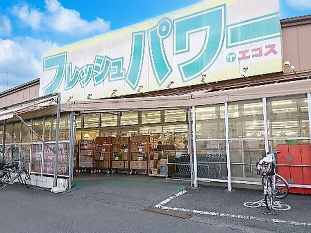 エコス 木野目店(約1,100m)