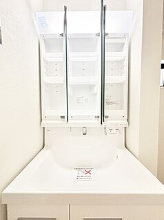その他設備(三面鏡裏収納)