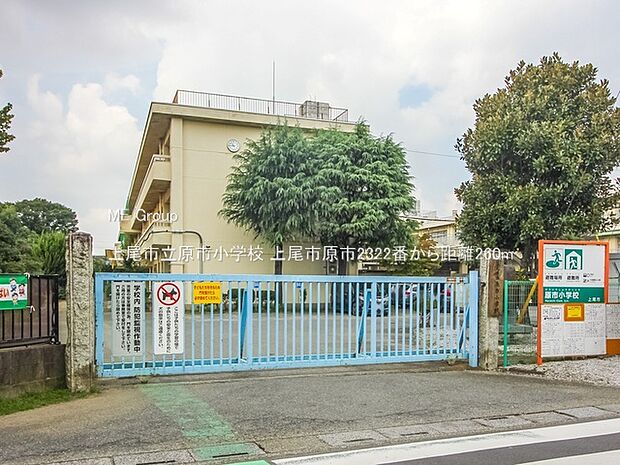 上尾市立原市小学校(約260m・徒歩4分)