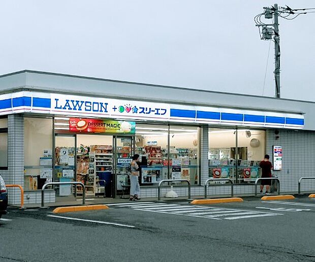 ローソン・スリーエフ 柏高田南店(約300m・徒歩4分)