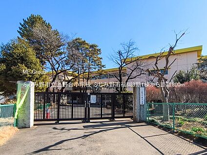 ふじみ野市立上野台小学校 800m