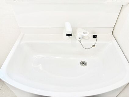その他設備(ハンドシャワー水栓)