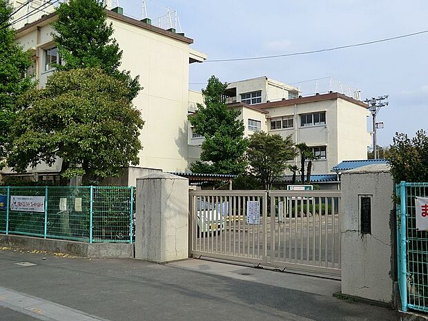 川口市立前川小学校(約679m・徒歩9分)