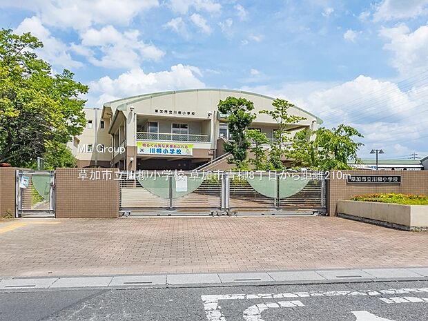 草加市立川柳小学校（約210m）