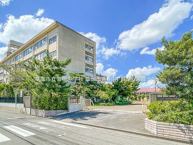 草加市立青柳中学校（約750m）
