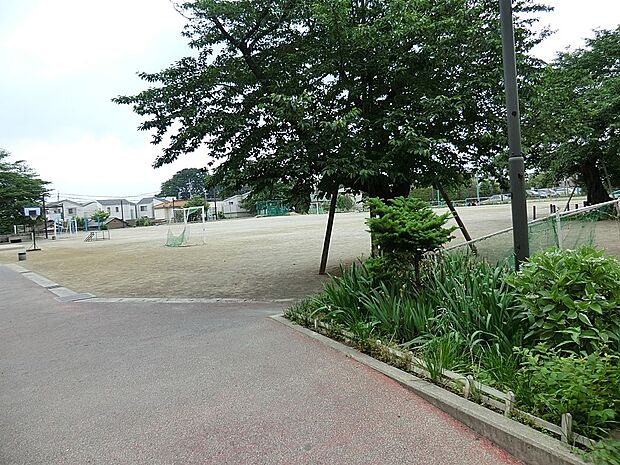 志木市立志木小学校(約1,000m)