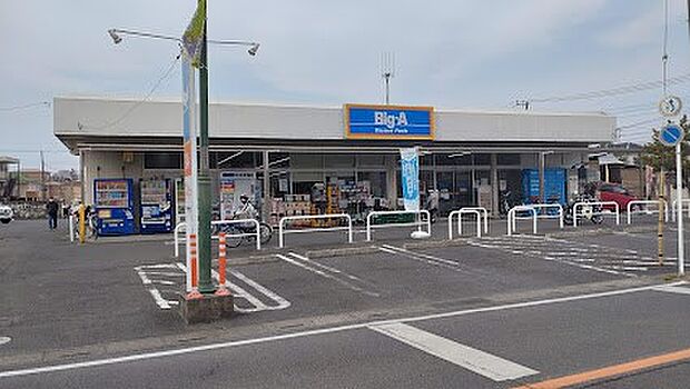 ビッグエー 川口芝店(約500m・徒歩7分)