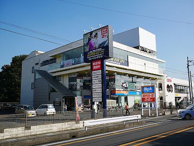 ビッグエー 浦和太田窪店(約700m・徒歩9分)