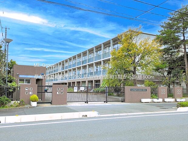草加市立松原小学校（約800m）