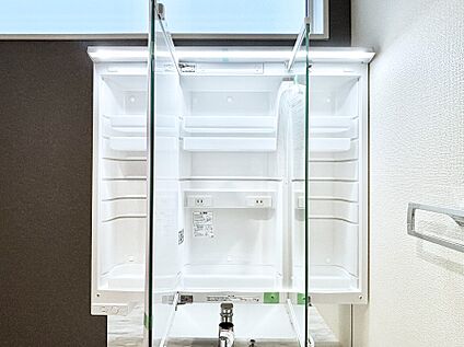 その他設備(三面鏡裏収納)