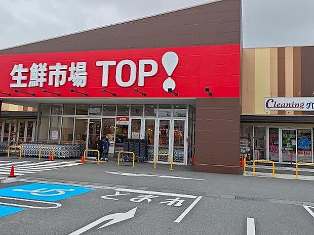 生鮮市場TOP！ 松戸古ヶ崎店（約1,200m）
